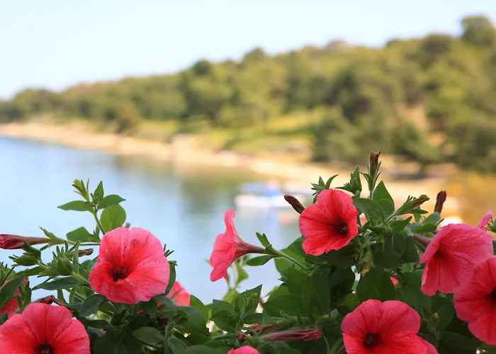 アパート Vasilis